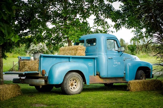 La Vigna’s truck with hay bales