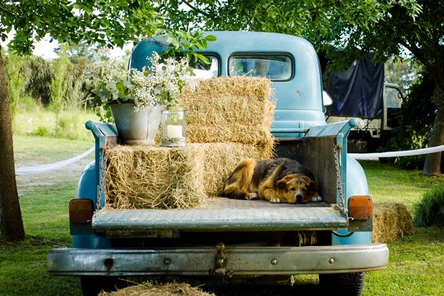 Vintage truck with hay bales in the park